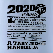 2020 v kostce