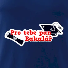 Pro tebe pan Bakalář