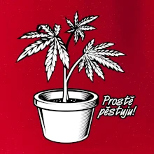Konopi prostě pěstuju