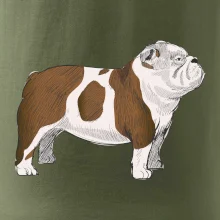 Vintage English bulldog