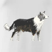 Border kolie kreslená