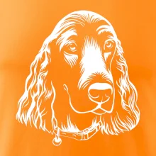 Kokršpaněl - hlava kreslená