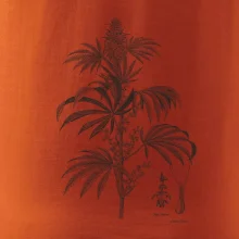 Konopí kytka černobílá