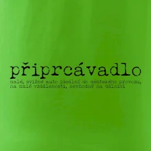 Čeština 2.0 - připrcávadlo