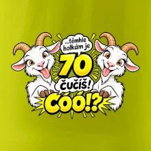 Těmhle holkám je 70, čučíš co?