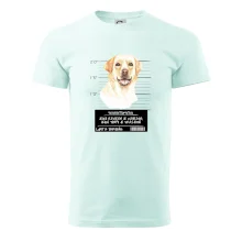 Lump a darebák labrador