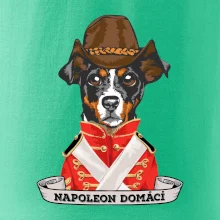 Napoleon domácí pes kříženec