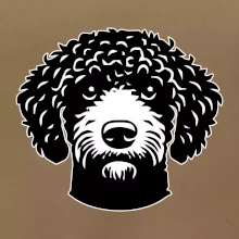 Lagotto romagnolo hlava na prsu