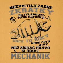Mechanik zkratky Mechanik zkratky