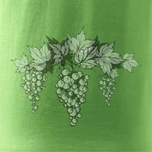 Vinné hrozny šedé