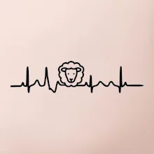 Ekg ovce