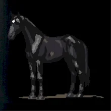 Černý kůň pixel Černý kůň pixel