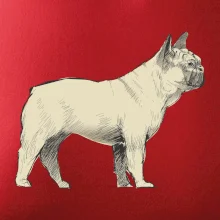 Vintage French bulldog