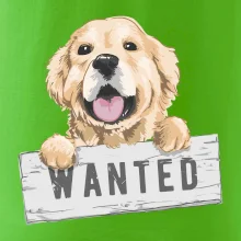 Zlatý retriever - štěně wanted