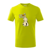 Já nic, já muzikant