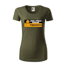 Jsem týhle stavby vedoucí