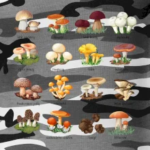 Atlas hub - triko s houbami