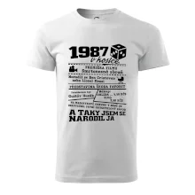 1987 v kostce