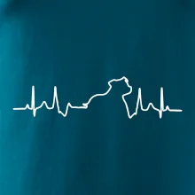 Stafordšírsky bulteriér EKG