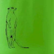 Surikata černá kresba