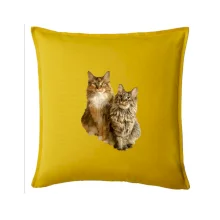 Kočky vectorizované  (Moňas)