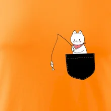 Kočka s rybou v kapse