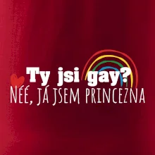Gay princezna