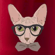 Hipster sphynx