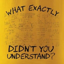What exactly didnt you understand - physics