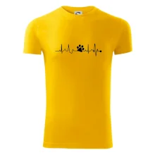 Ekg psí tlapka Ekg psí tlapka