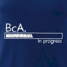 In progress  titul BcA. bakalář / bakalářka umění