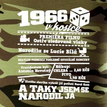 1966 v kostce