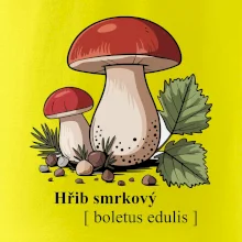 Hřib smrkový - Boletus edulis kreslený