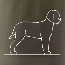 Lagotto romagnolo stojící