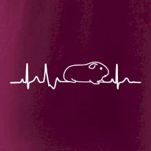 EKG morče EKG morče