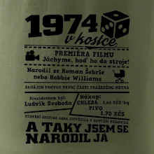 1974 v kostce