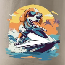 Bígl na vodním skútru