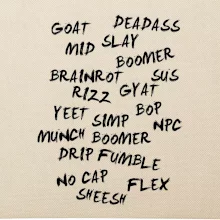 Generace Z - Gen Z slovník