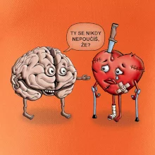 Mozek a srdce - poučení (Hana-creative)