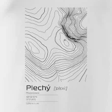 Plechý - vrstevnice v obdélníku