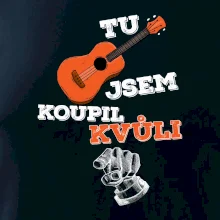 Tu kytaru jsem koupil kvůli tobě
