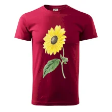 Slunečnice otočená