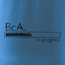 In progress  titul BcA. bakalář / bakalářka umění