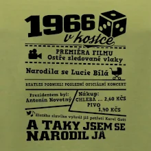 1966 v kostce