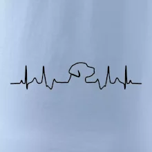 Labrador EKG