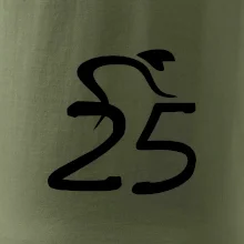 Cyklista slaví pětadvacítku (25)