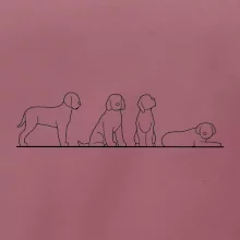 Lagotto romagnolo postavy linka