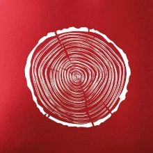 Letokruhy 30 bez věku