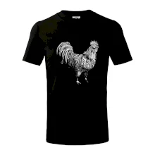 Kohout kreslený černobílý