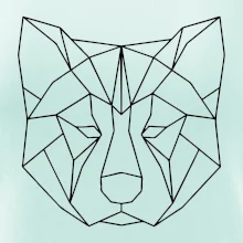 Akita Inu - Geometrie